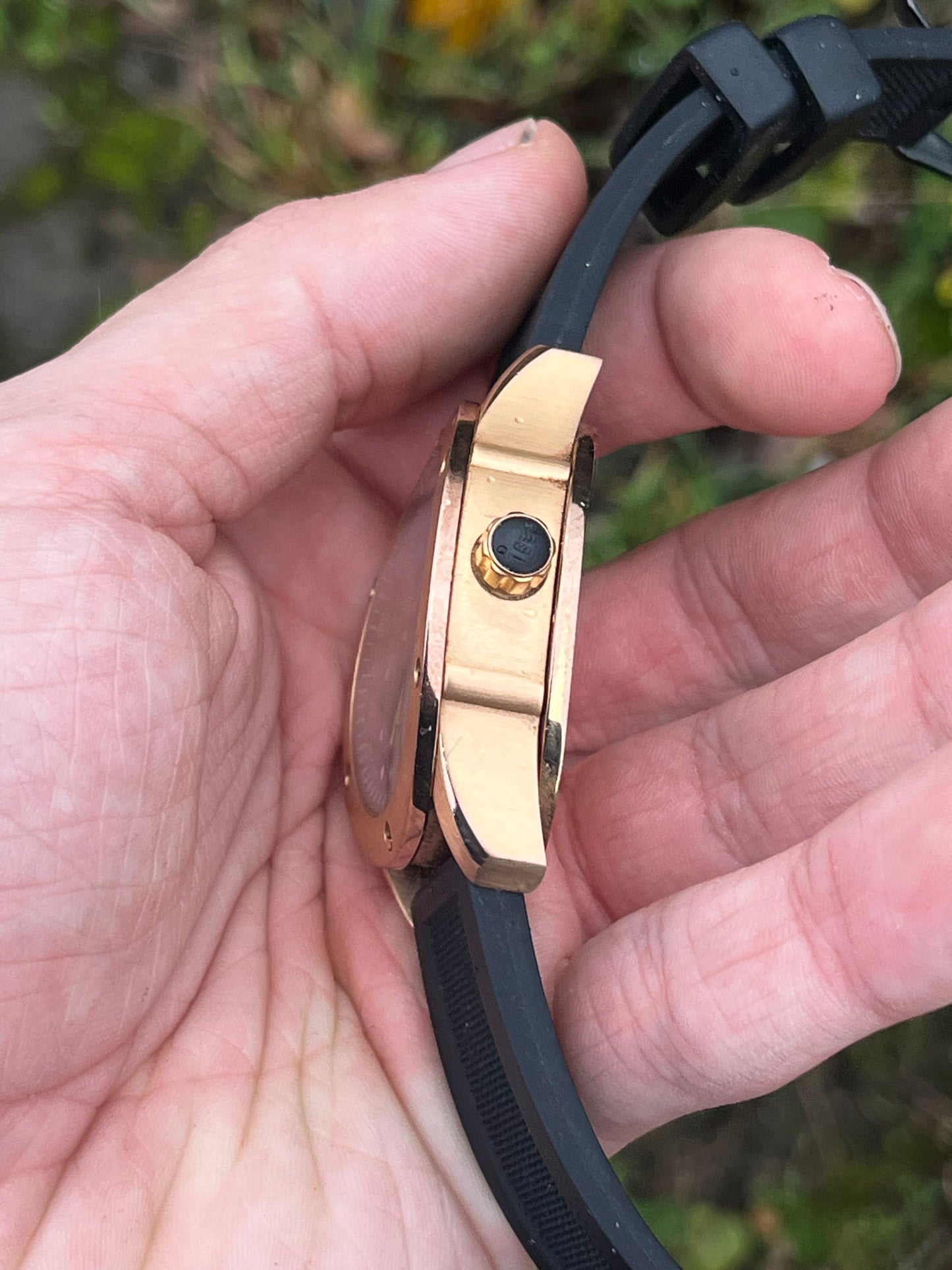 Rotary Editions Automatic Series 500 Diver