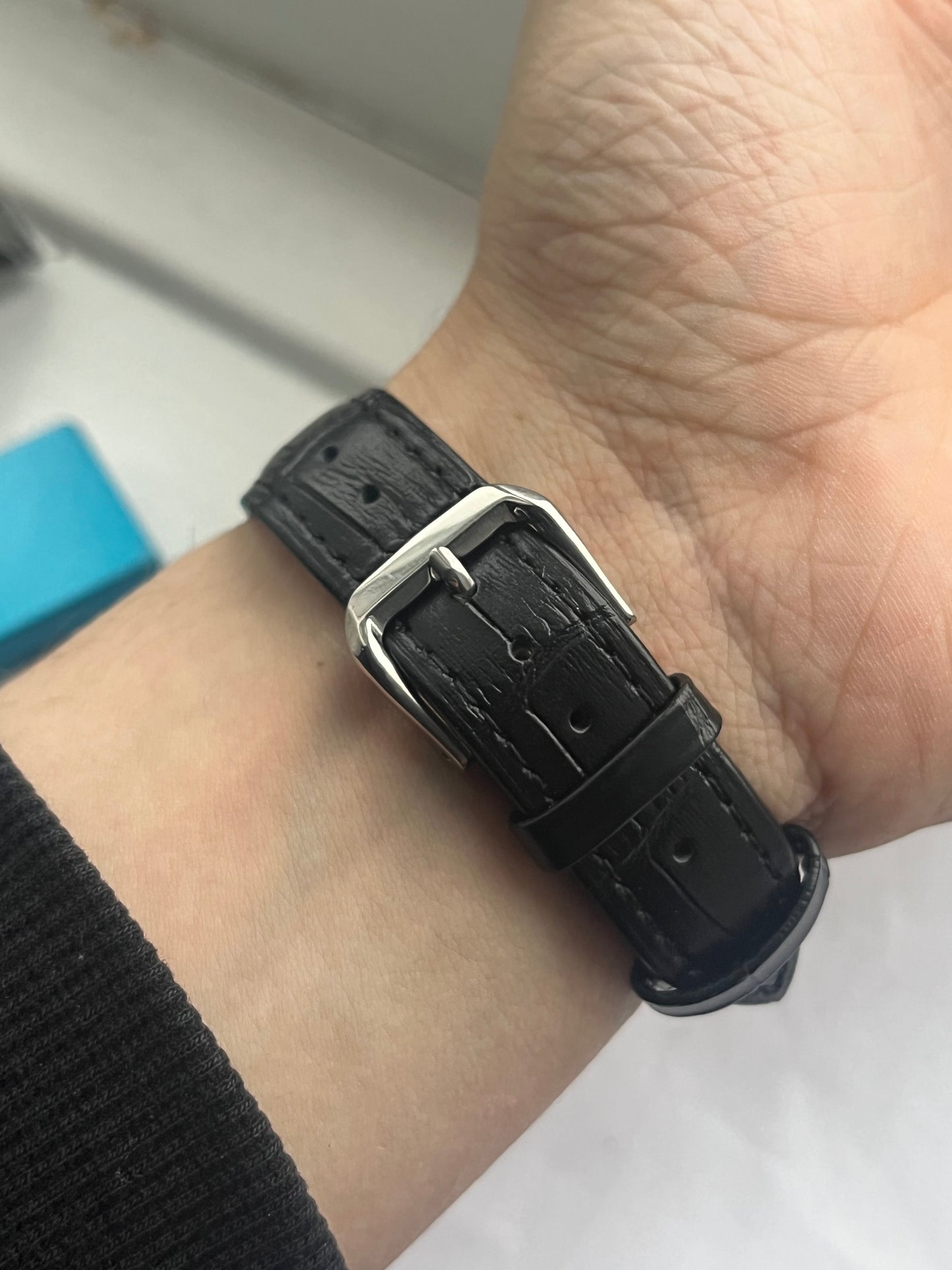 Omega Seamaster Automatic 354